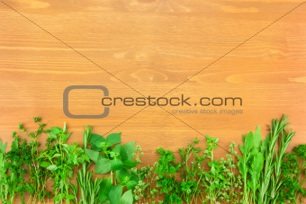 Border of Fresh  Herbs Collection on Vintage Wooden Table 