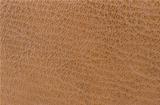 Leather texture 