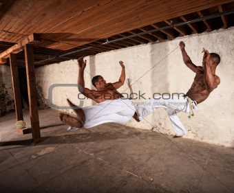 Two Martial Artists in Mid-air