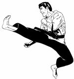 Karate/TaeKwonDo Jump Kick