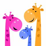 Giraffe colorful family isolated on white