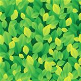 Leafy seamless background 1