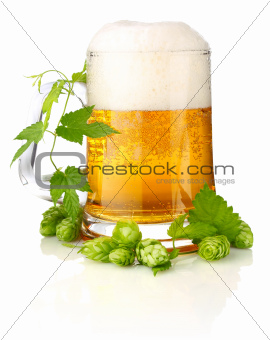 glass beer with rich and aromatic hop