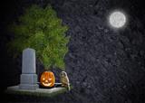 Textured black halloween background grave moon owl and pumpkin