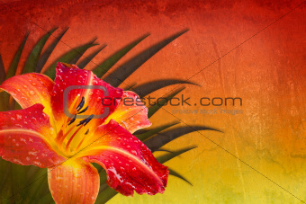 Red orange yellow background with daylily