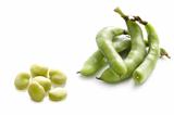 broad beans on white background