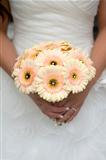bride holding gerbera bouquet