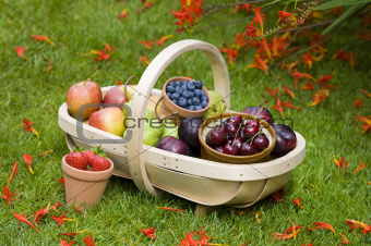 trug of summer fruit