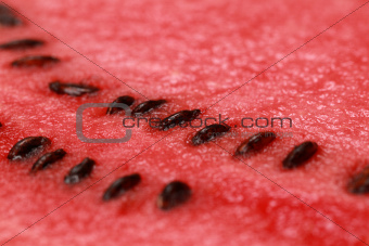 Close-up of a watermelon