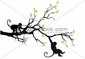 monkeys on tree, vector