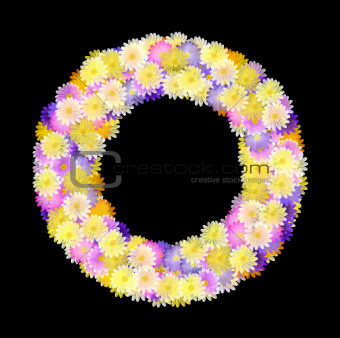 Multicolored Daisy Wreath on black