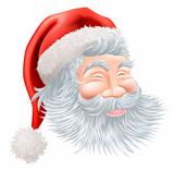 Christmas Santa Claus Face