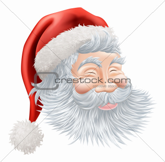 Christmas Santa Claus Face