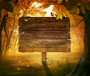 Autumn design - Forest sign