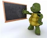 tortoise with school chalk board