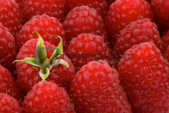 Perfect Ripe Raspberries Background