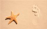 Starfish With Human Footprint