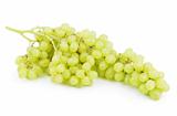 Ripe green yellow grapes