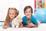 Happy kids with their pets - a dog and a kitten