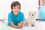 Young boy and his well behaved dog
