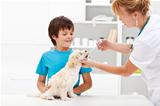 Young boy with his dog at the veterinary