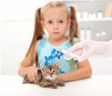 Little girl afraid for her kitten getting a vaccine at the veter