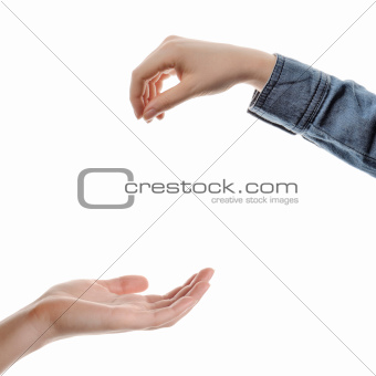 closeup woman`s hands isolated on white background