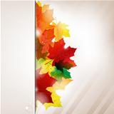 Autumn Composition From Leaves And Paper Banner With Water Drop