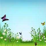Flowering Meadow and Butterflies
