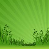Green Nature Background