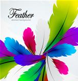 Vector colorful feather background