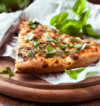 Mushroom pizza topped with basil