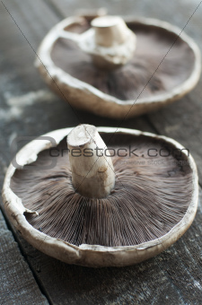 Shitake Mushrooms