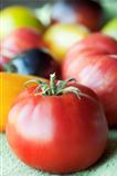 Heirloom Tomato Harvest