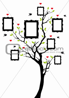 family tree with frames, vector