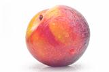 Bright ripe plum