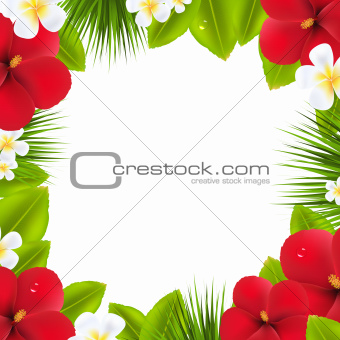 Green Border With Tropical Elements