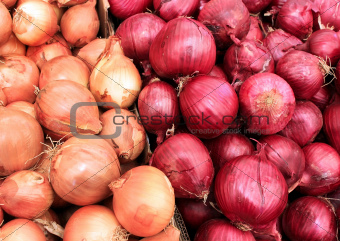 white and red onions