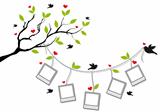 tree with photo frames and birds, vector
