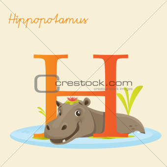 Animal alphabet with hippopotamus