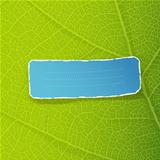 Green leaf texture and torn label with space for text. EPS10