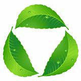 Symbol of recycle