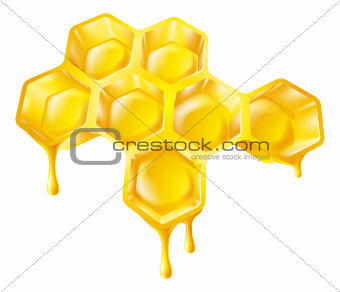 Honeycomb with dripping honey