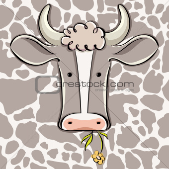 Cow head vector cartoon.