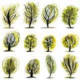 Set of trees illustrations.