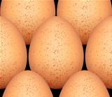 Eggs seamless pattern.