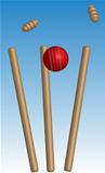 Cricket ball hitting wickets,vector