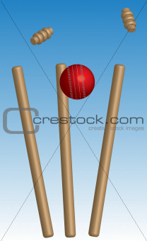 Cricket ball hitting wickets,vector