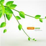 Nature vector background