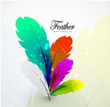 Vector color feathers abstract background